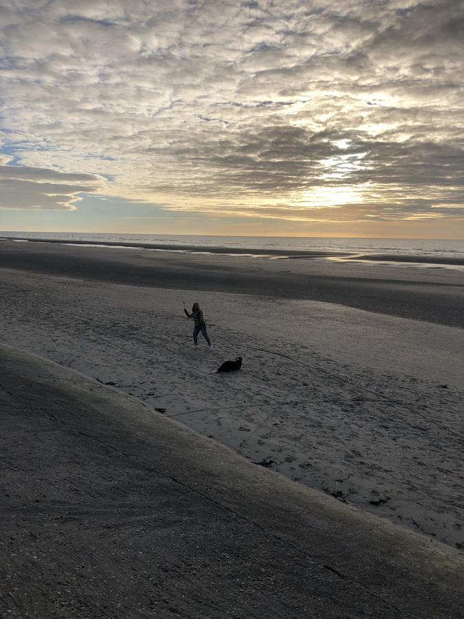 Westhoek Apartments De Panne Zewnętrze zdjęcie